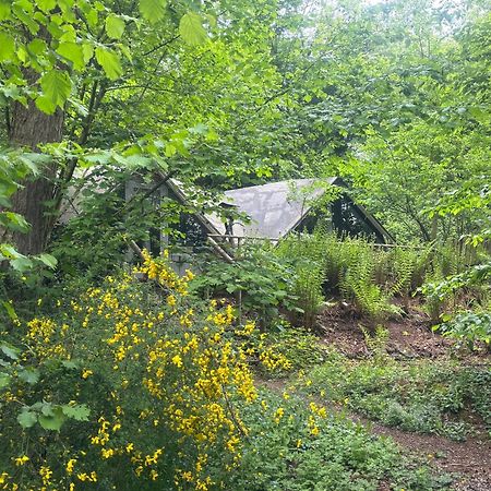 Chalet Scandinave Avec Sauna Ir - In The Woods Gesves Ngoại thất bức ảnh