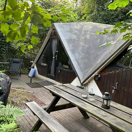Chalet Scandinave Avec Sauna Ir - In The Woods Gesves Ngoại thất bức ảnh