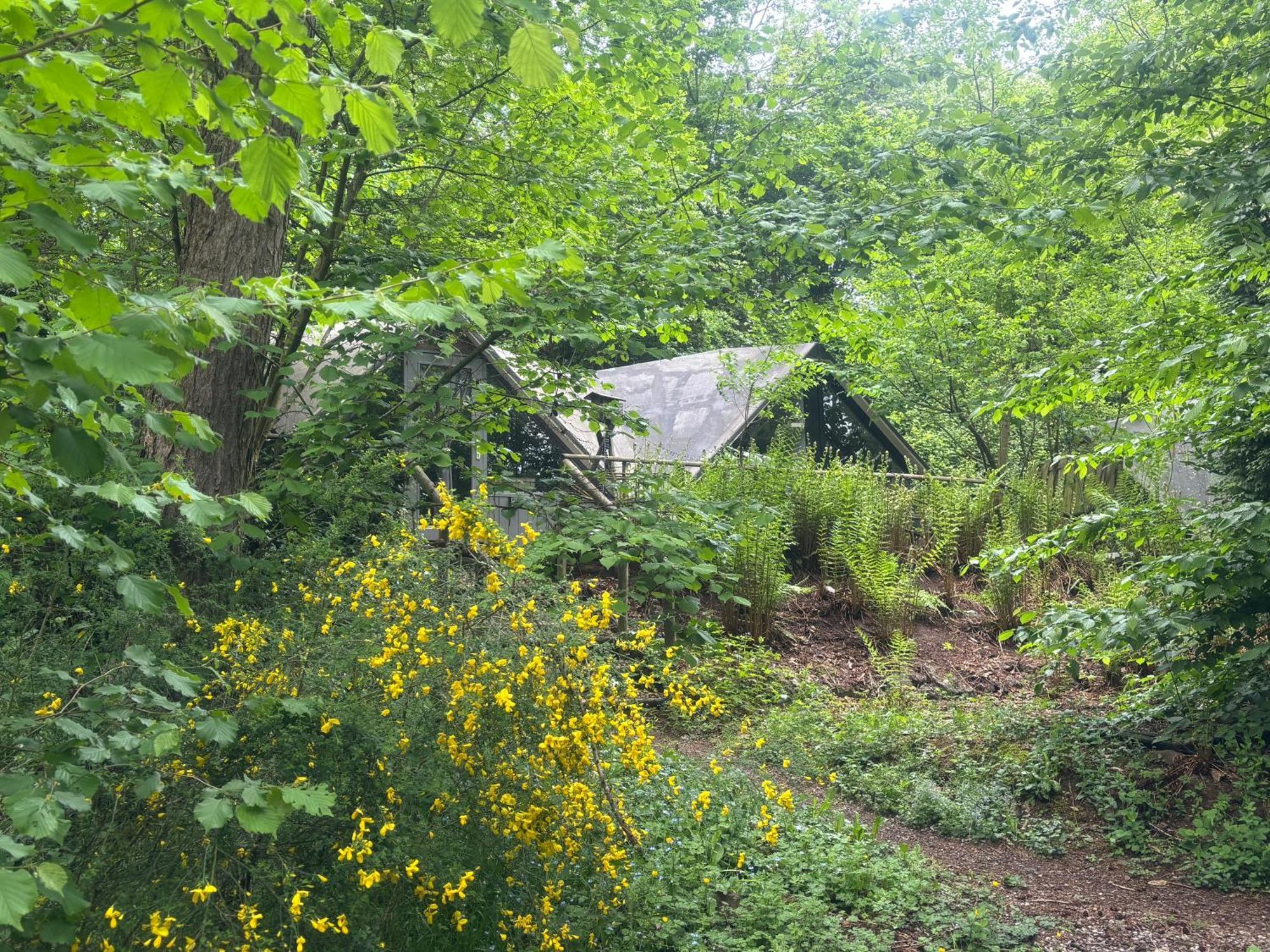 Chalet Scandinave Avec Sauna Ir - In The Woods Gesves Ngoại thất bức ảnh